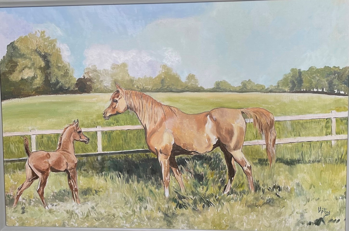 A Mare and her Foal in a Paddock