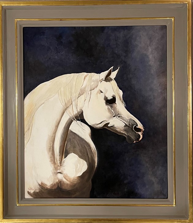 Portrait of a white Stallion