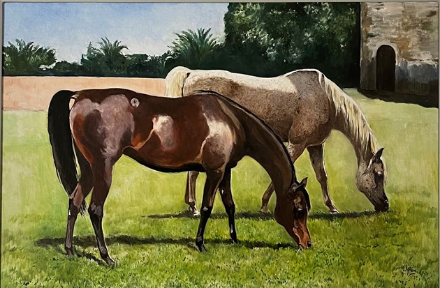 Two grazing mares in a field