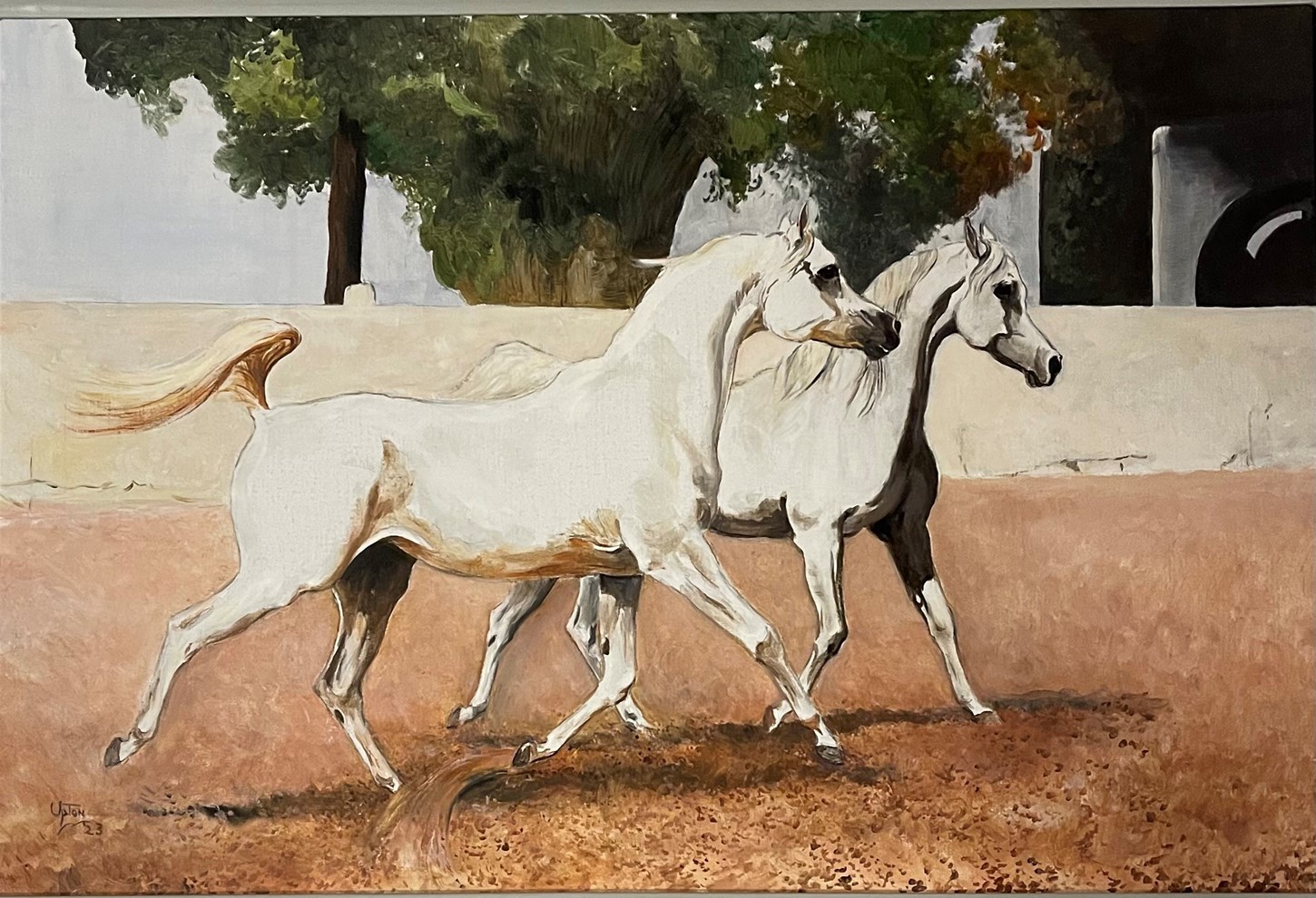 Two trotting Mares