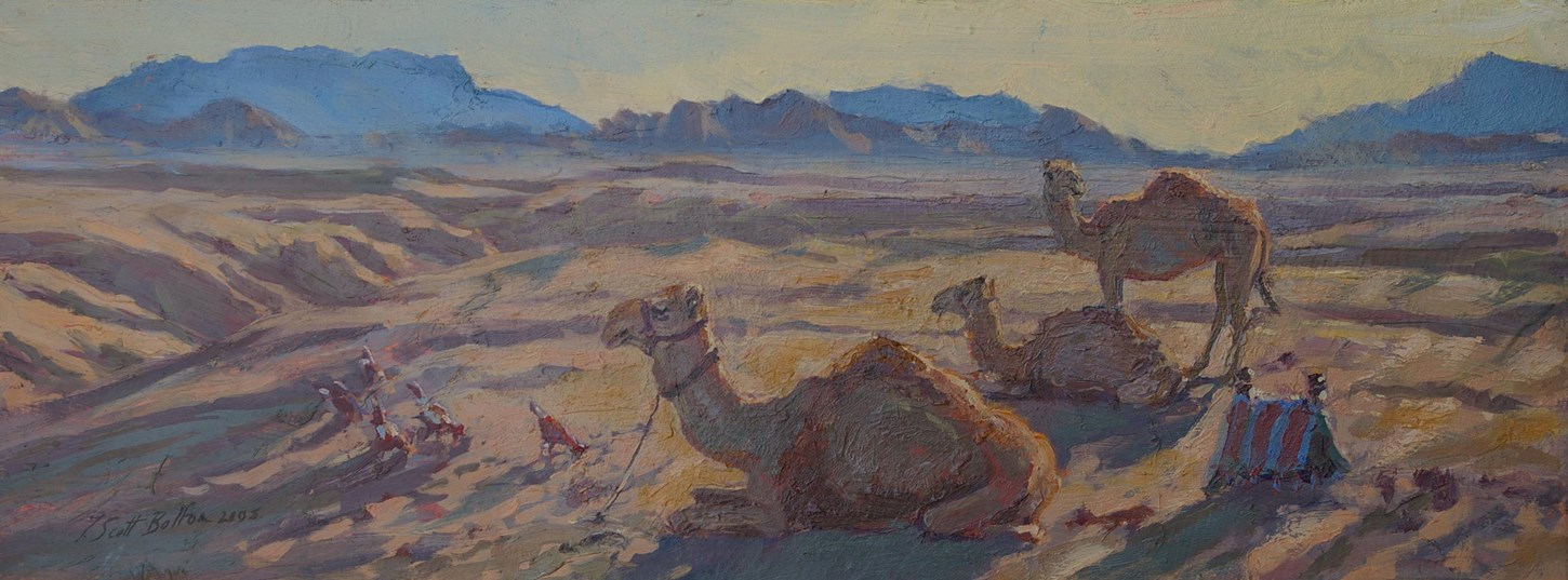 Camels near Wadi Rum