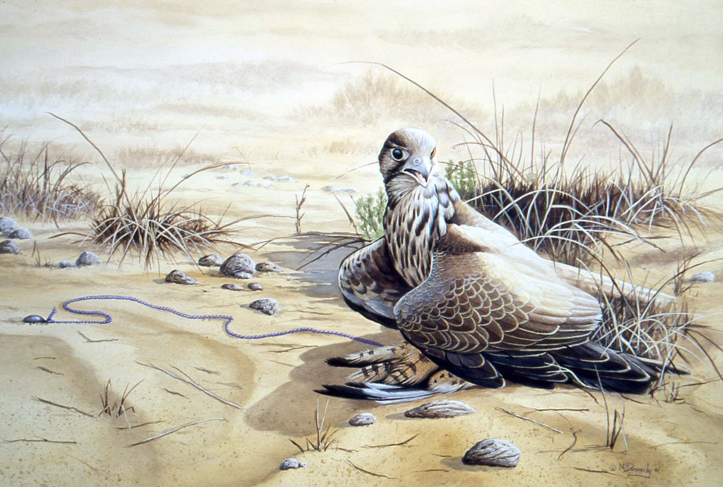 Saker on lure