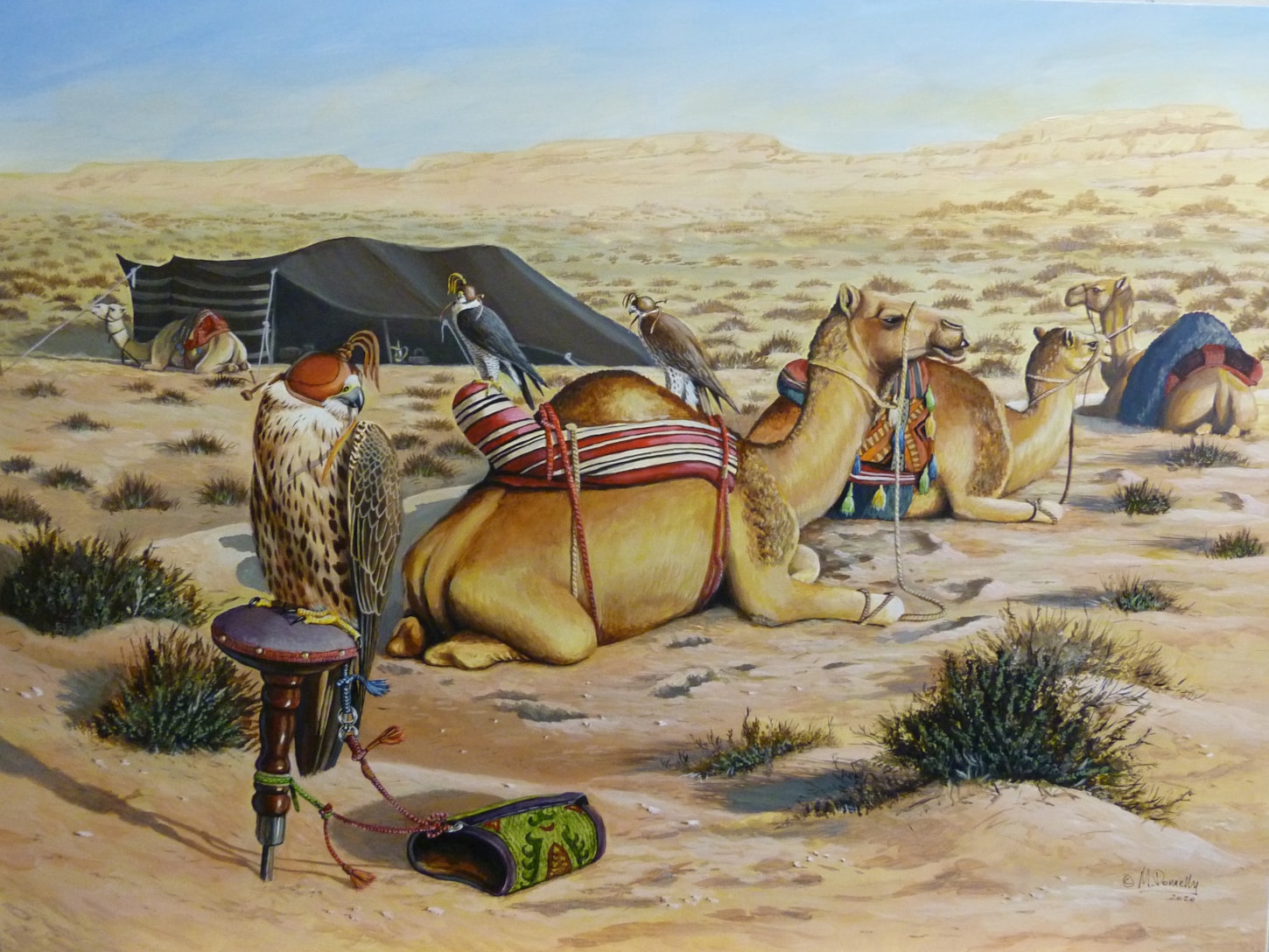 Falcons and Camels at Camp