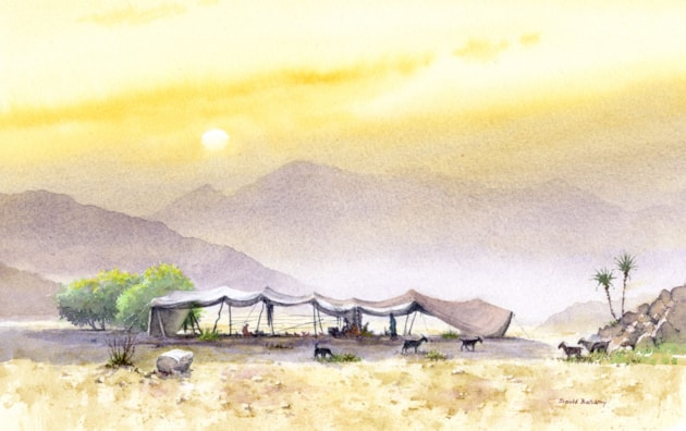 Bedouin camp, Jordan Valley