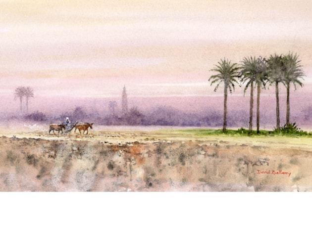 Ploughing at Fayoum