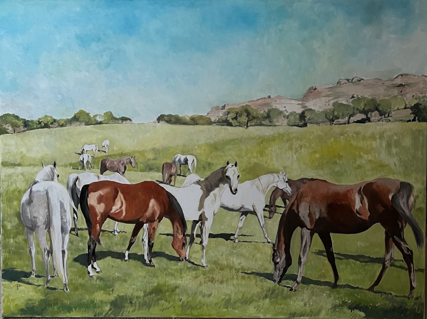 A Group of Mares