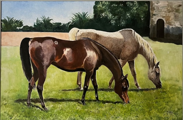Two grazing mares in a field