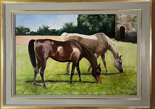 Two grazing mares in a field