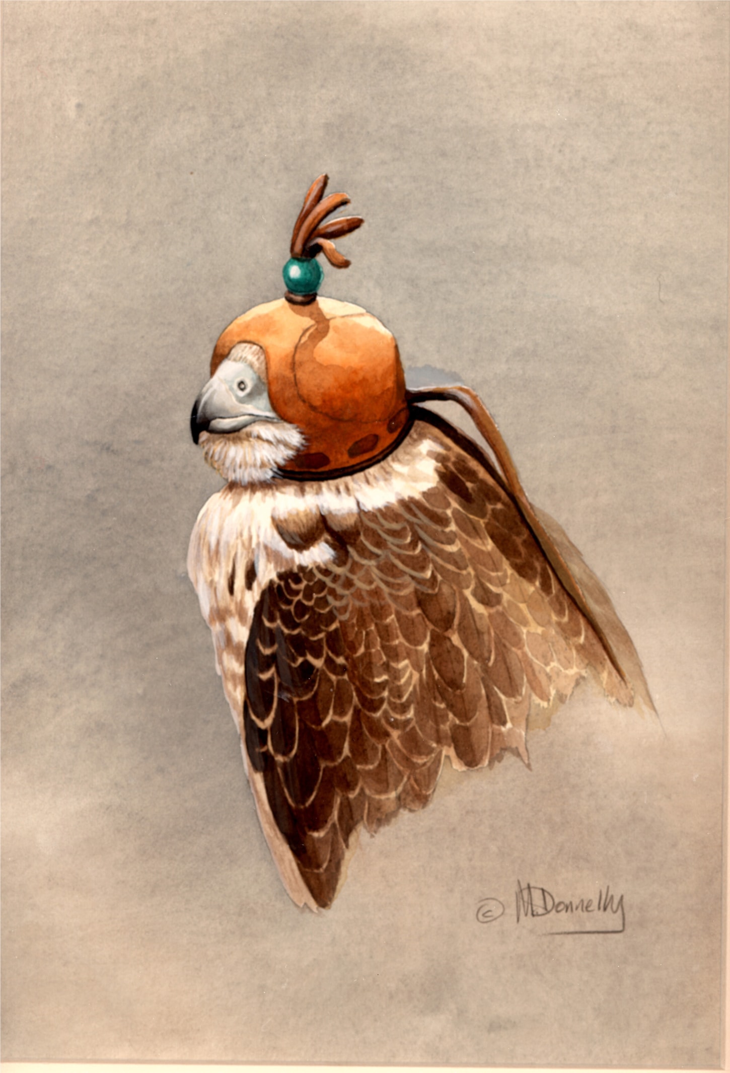 Hooded Saker 1