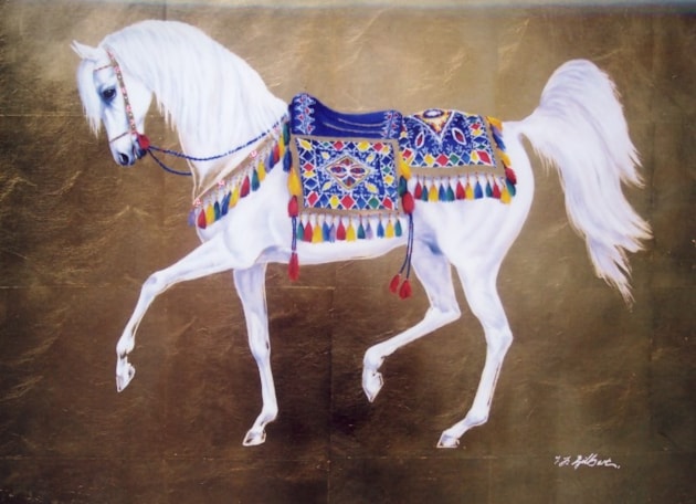 White Arabian with blue saddle
