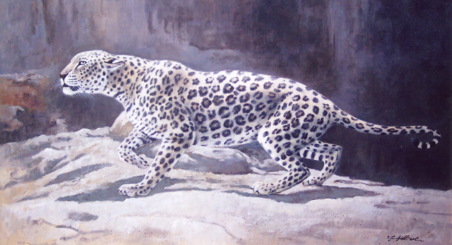 Arabian leopard
