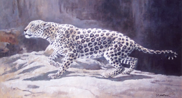 Arabian leopard