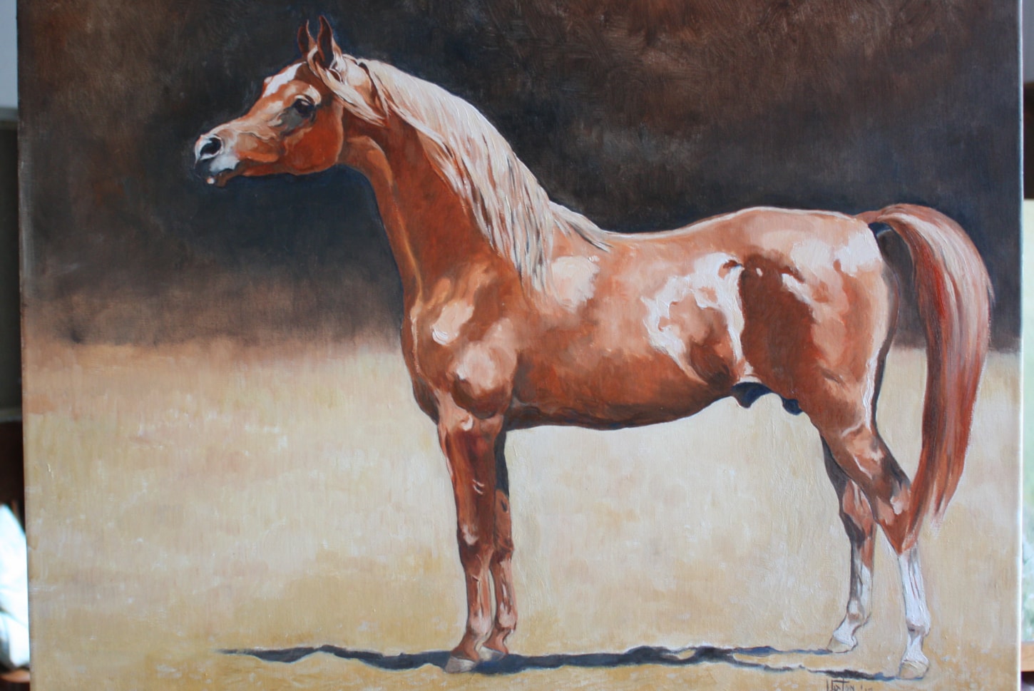The Chestnut Stallion