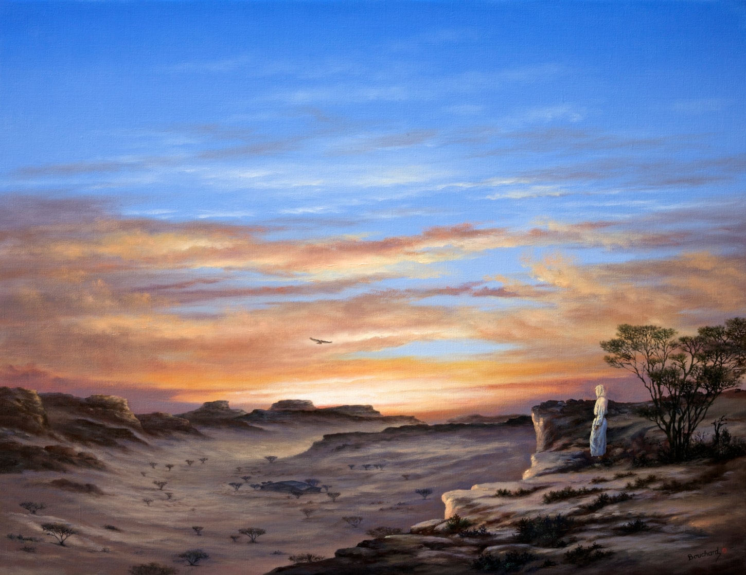 Evening Light