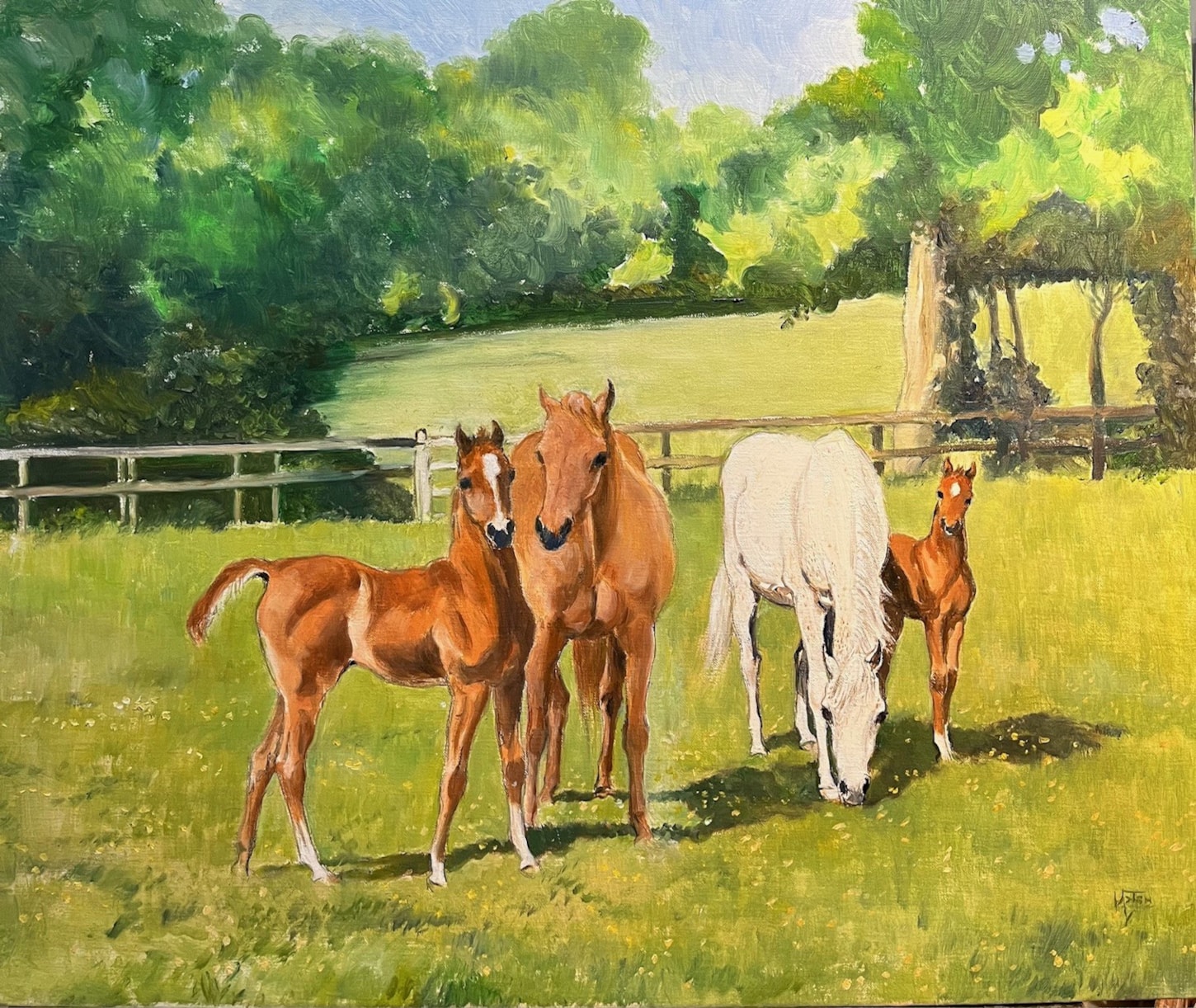 A bold Foal and a shy Foal with their Mares