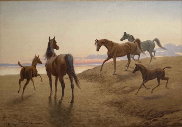 Arabian Horses and foals in a coastal landscape