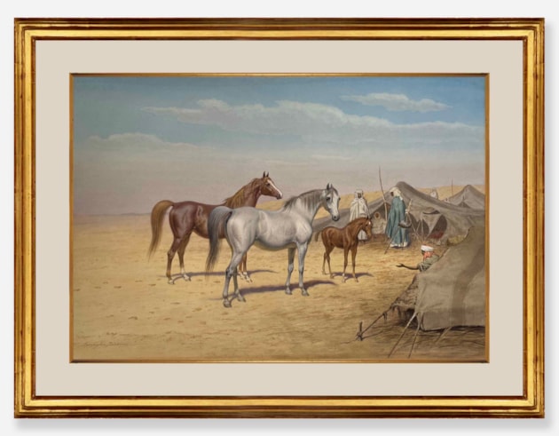 Arabian Horses before a desert  encampment