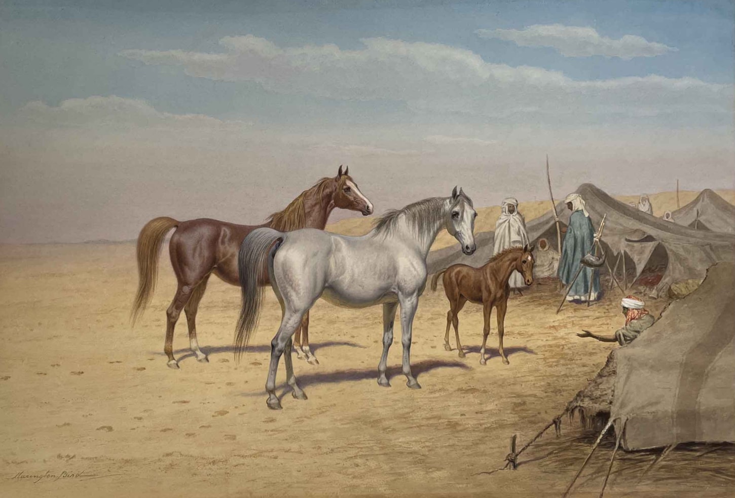 Arabian Horses before a desert  encampment