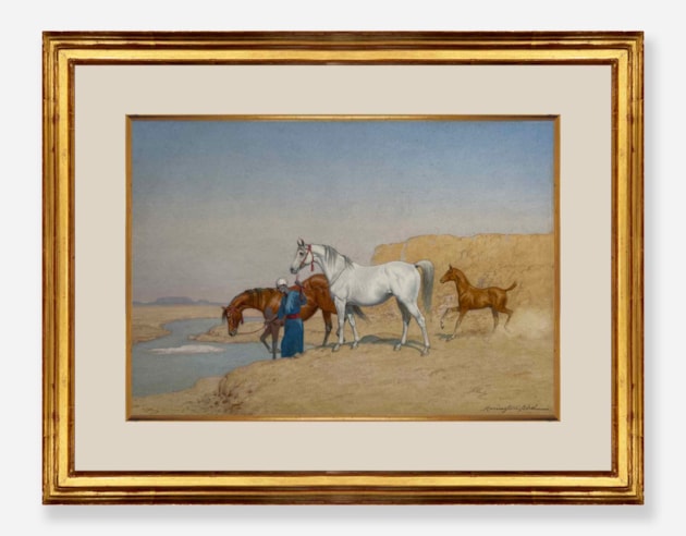 Groom leading Arabian Horses to water