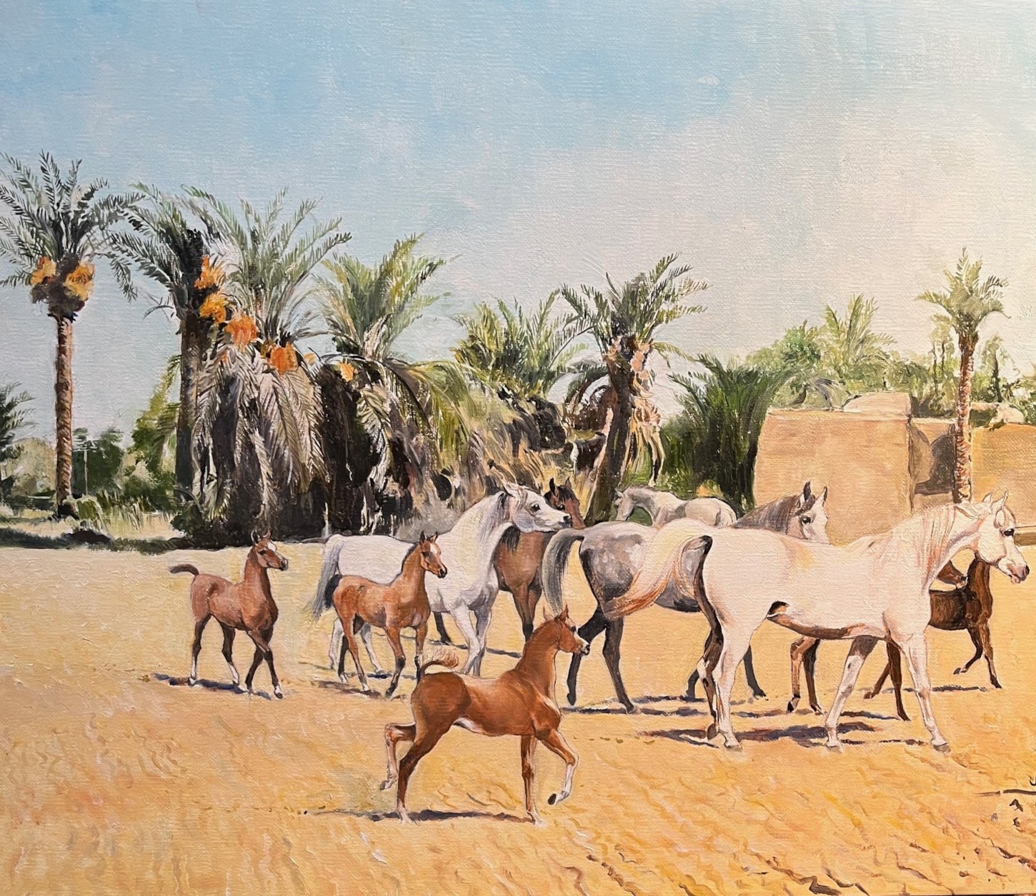 Mares and Foals on the Move