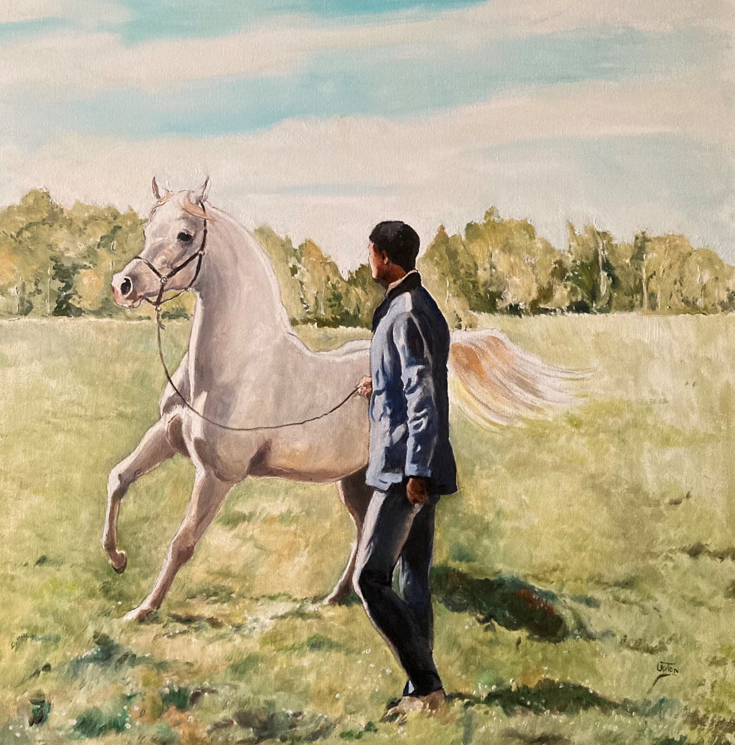Chestnut Stallion with a handler holding the leash