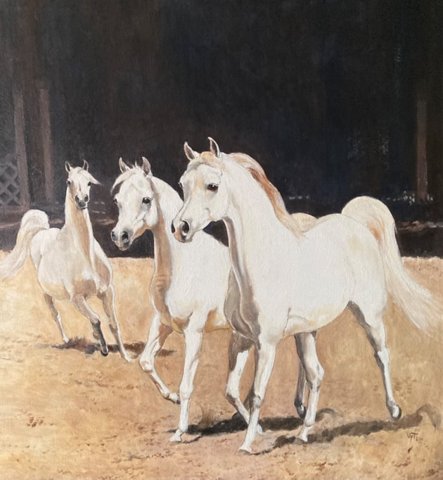 Three white mares trotting towards us
